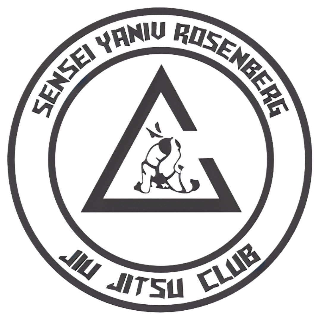 yrjiujitsu.com
